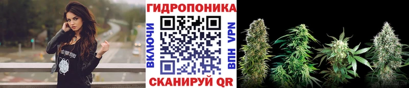Где найти наркотики Верхняя Тура Cocaine  Бошки Шишки  Codein  Псилоцибиновые грибы  МЕФ  ГАШИШ  A PVP 