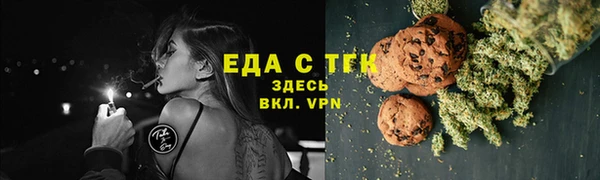 СК Бронницы