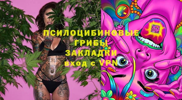 MDMA Богданович