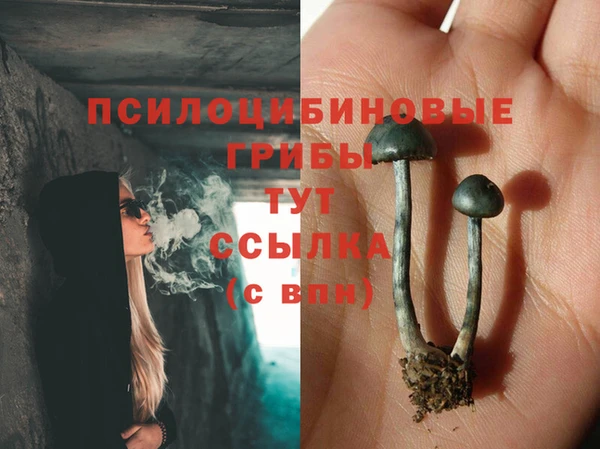 СК Бронницы