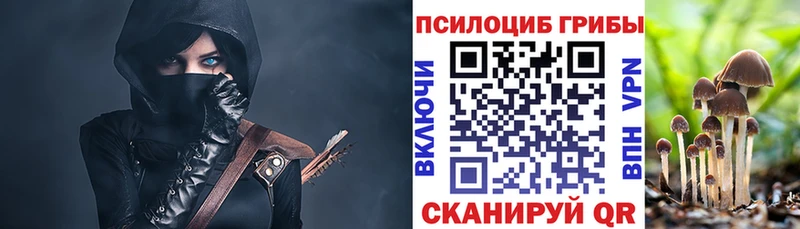 ОМГ ОМГ ссылки  Верхняя Тура  Галлюциногенные грибы мицелий 